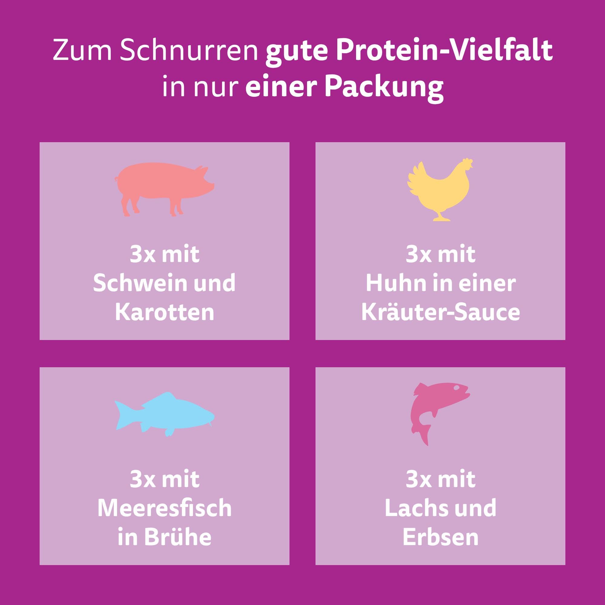 Whiskas Aromatic Gemischte Auswahl Nassfutter 48x85g Sauce