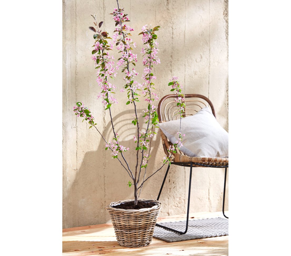 Dehner Premium Rattan Pflanztopf Ø29x20cm grau-braun Geflecht