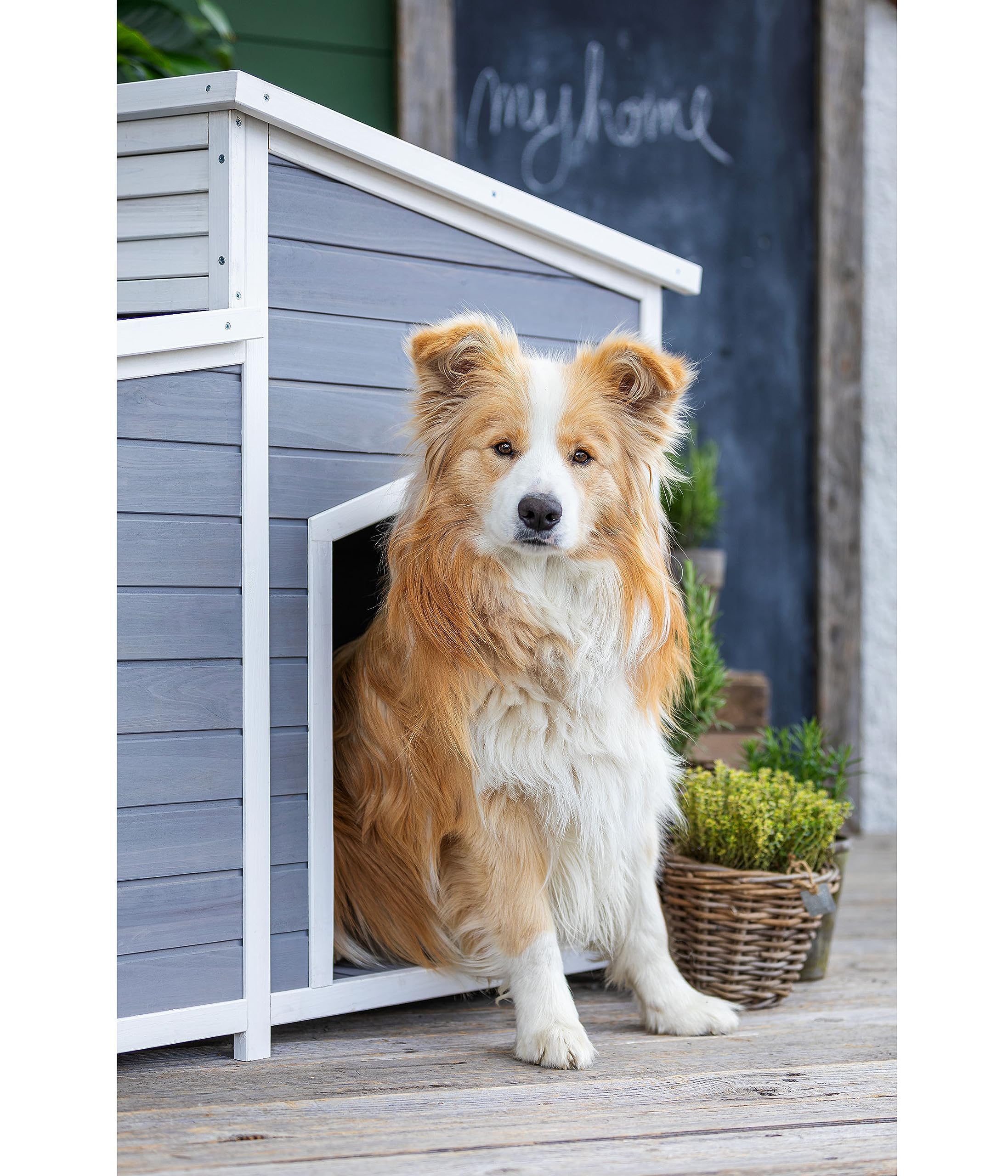 Dehner Lieblinge Balu Hundehütte Tannenholz grau 128 cm